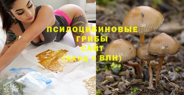 альфа пвп Нефтегорск