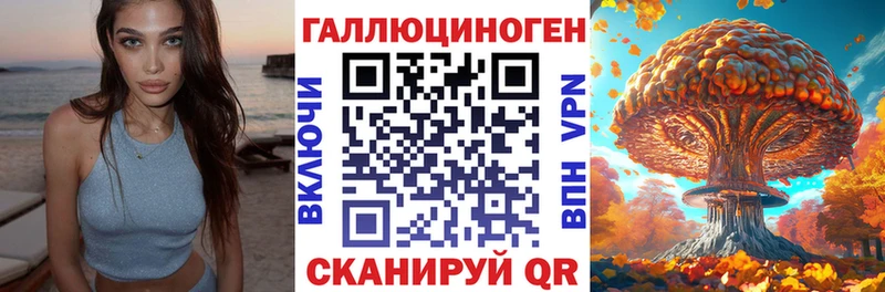 дарнет шоп Кочубеевское Псилоцибиновые грибы Psilocybine cubensis
